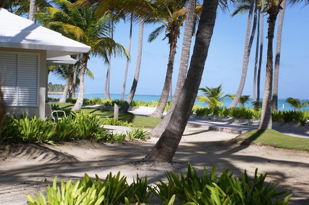 Punta Cana Resort & Club
