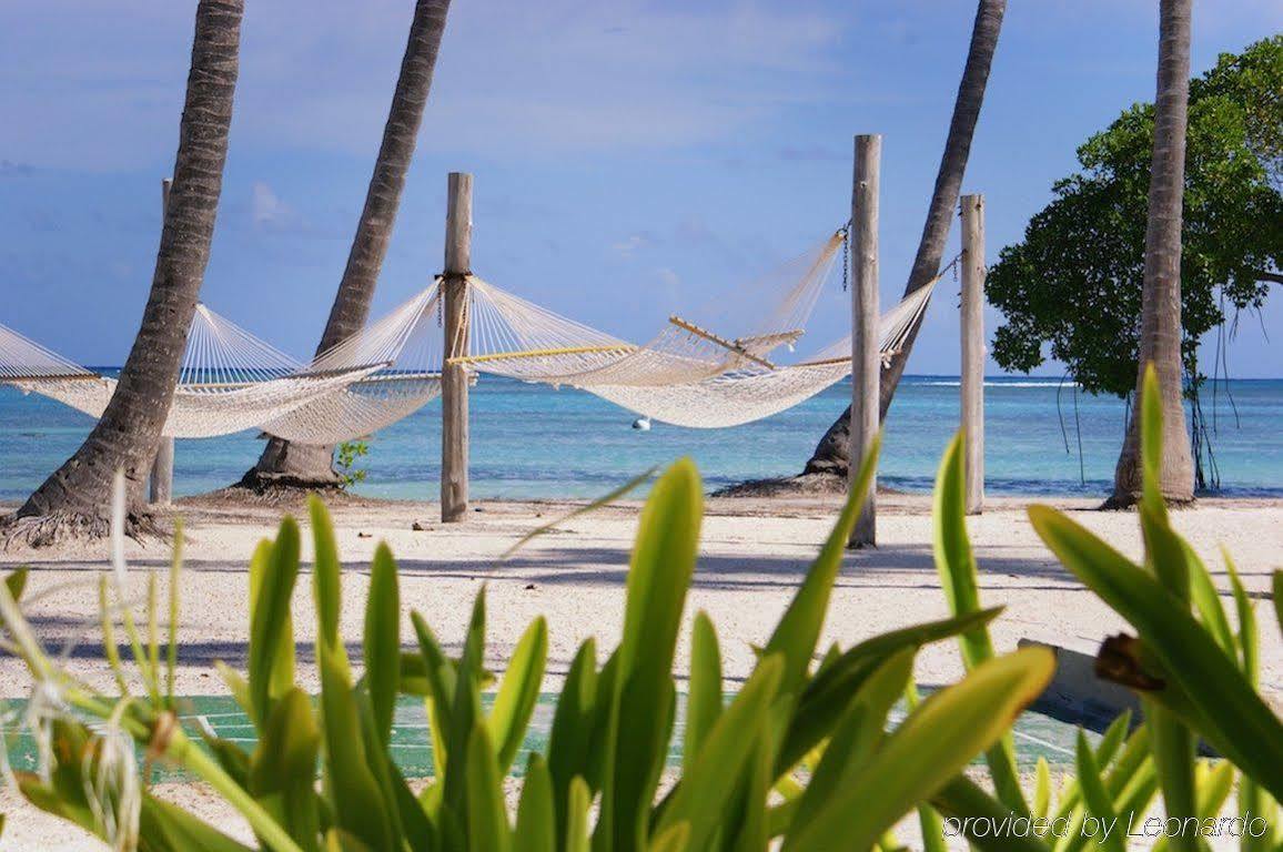 Punta Cana Resort & Club Hotel Punta Cana